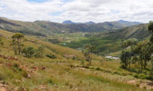 photo_2026-01-29_12-00-23