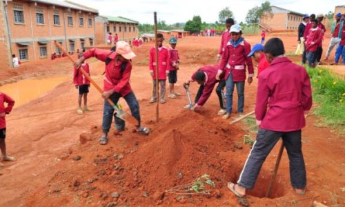 photo_2026-01-29_12-02-03