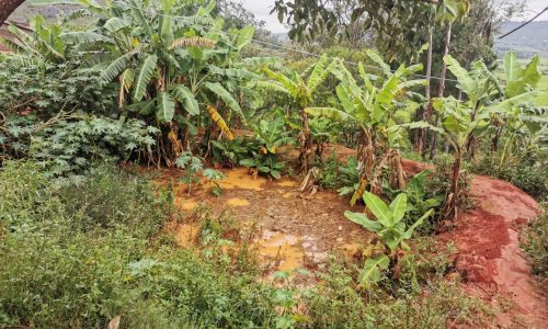 photo_2026-01-29_12-02-56