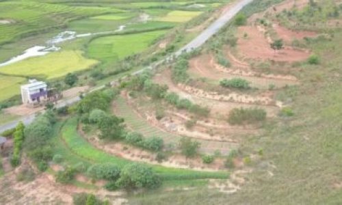 photo_2026-01-29_12-03-02