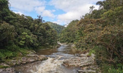 photo_2026-01-29_12-03-05