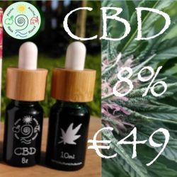 photo_2026-02-04_14-32-28